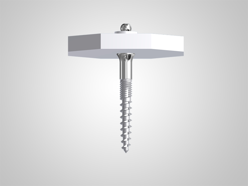 Einteiliges Mini-Implantat ø 2,5mm
